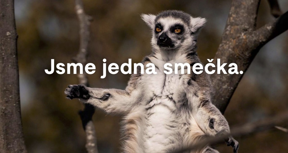 Slogan a kreativní koncept | Zoo Brno