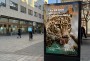 Ukázka OOH | Zoo Brno