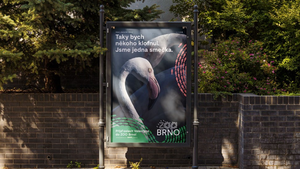 Valentýnská kampaň | Zoo Brno