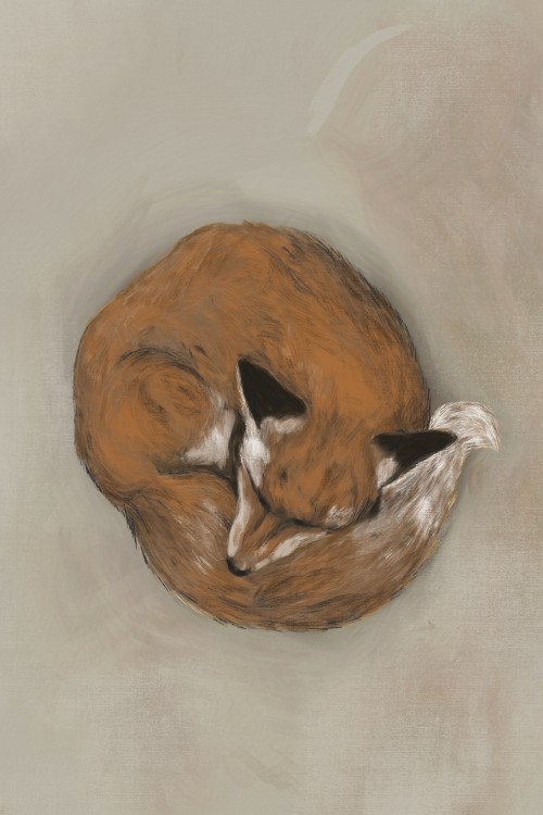 Ilustrace lišky / volná tvorba
