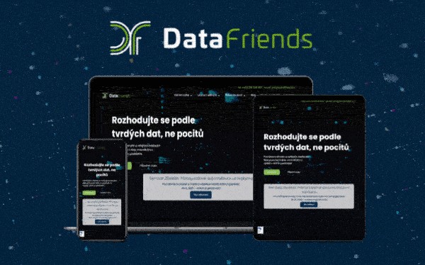 Webová prezentace Datafriends