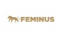 SEO pre Feminus.cz