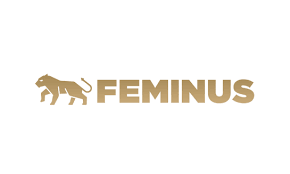 SEO pre Feminus.cz