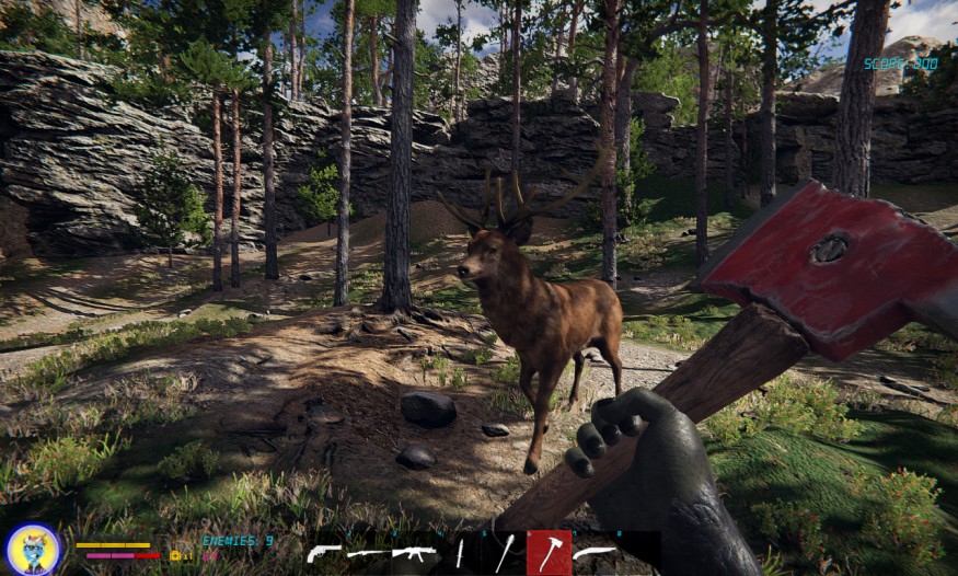 NFT - lovení zvěře v lese a sbírání bodů