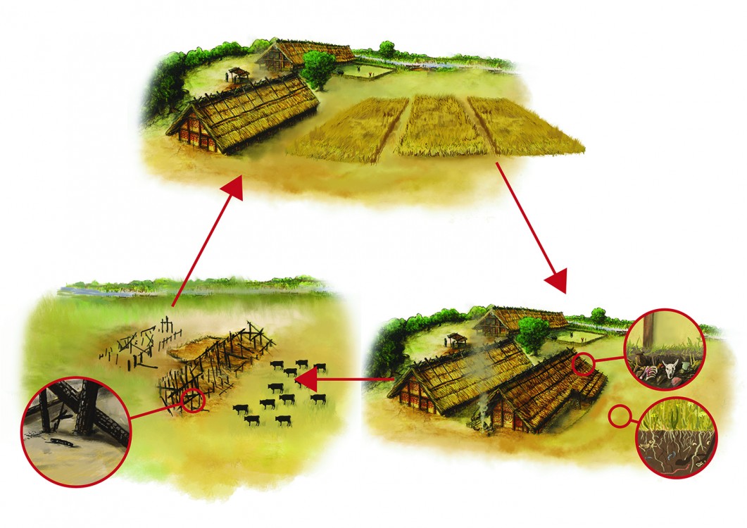 Neolitické hospodářství