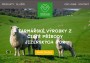 Webdesign a tvorba webu pro ovčí eko farmu Sonja