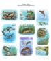 Ilustrace dětské knížky o sladkovodních rybách