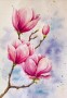 Akvarel | magnolie