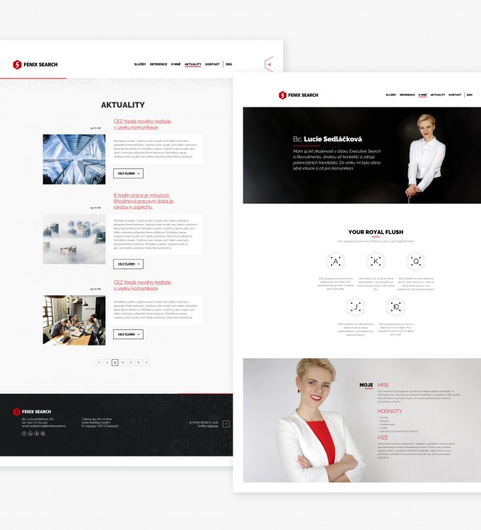 FenixSearch – branding, logo, digital & print, webdesign