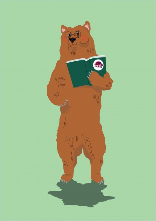 Medvěd – barevná ilustrace