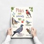 Ptáci naší zahrady | digitální ilustrace