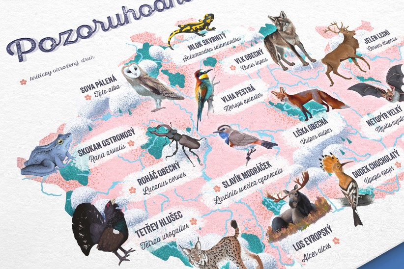 Mapa s ilustracemi zvířat