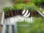 Logo pro zahradnickou firmu Gabriel