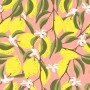 Citrony | vzory a patterny