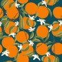 Pomeranče | vzory a patterny