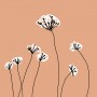 Květiny | digitální ilustrace