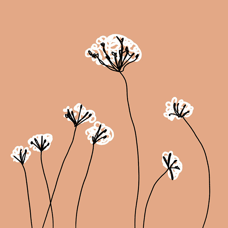 Květiny | digitální ilustrace
