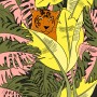Džungle | digitální ilustrace
