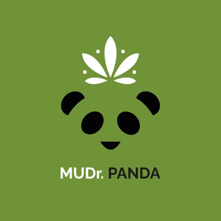 MUDr. Panda – tvorba loga