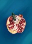 Digitální ilustrace - Granátové jablko