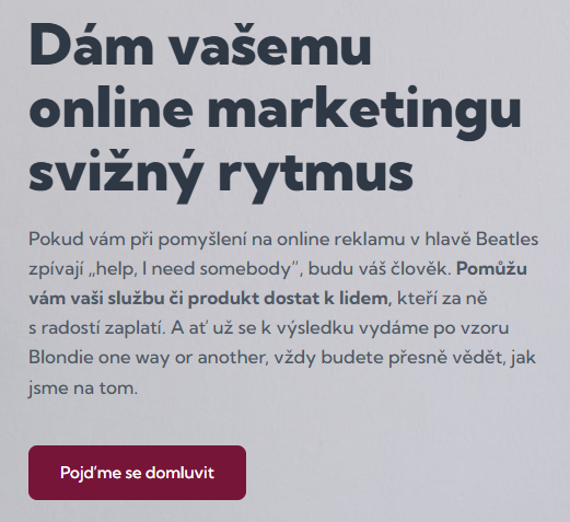 Webové texty pro performance specialistku Andreu Zelingrovou