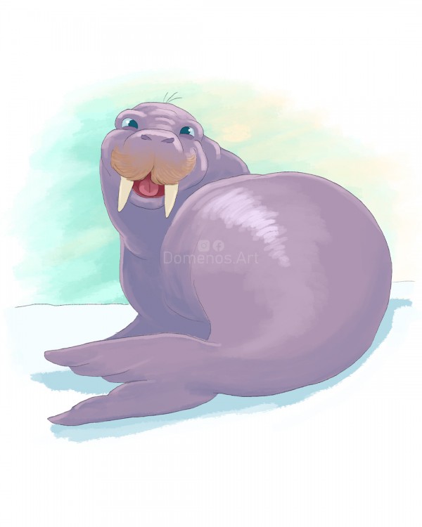 Walrus | ilustrace