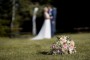 Svatební kytice | fotografování svatby na Šumavě