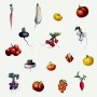 Ilustrace zeleniny | vizuální identita a branding pro Culina Botanica