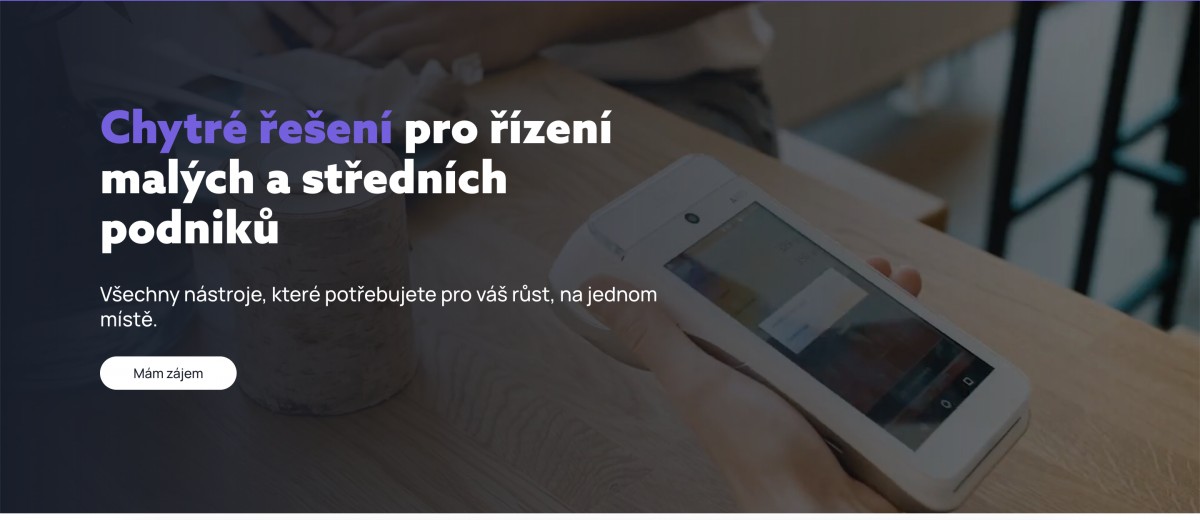 Web pro SaltPay (dnes Teya)