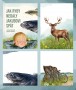 Ilustrovaná obálka knihy Jak ryby nedaly Jakubovi spát