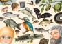 Koláž | ilustrace do knihy Jak Jakub potkal ryby