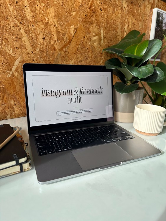 Audit pro sociální sítě - šablona