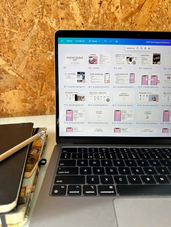 Audit pro sociální sítě - šablona 2