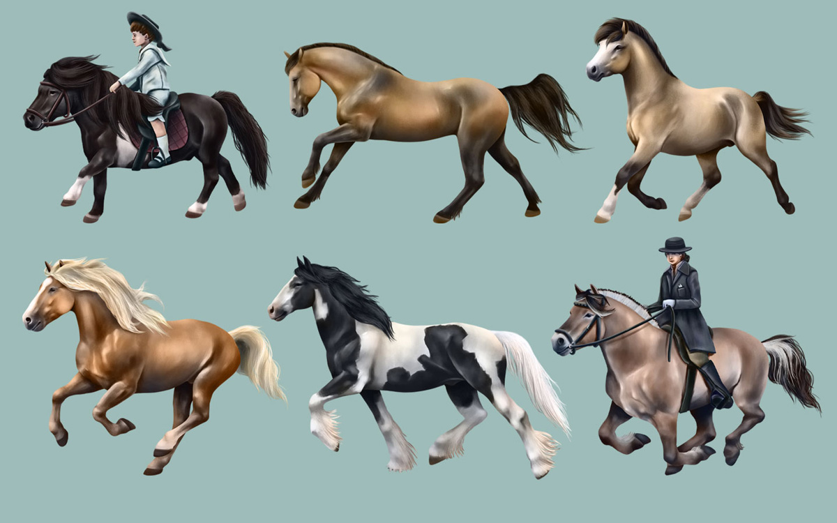 Desková hra Epona - ilustrace koní a jezdců na hrací karty