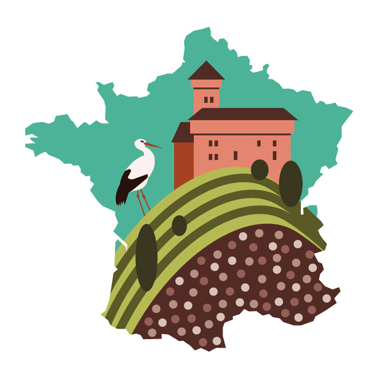 Vinařské regiony Francie - vinice, hrad a čáp | vektorová ilustrace