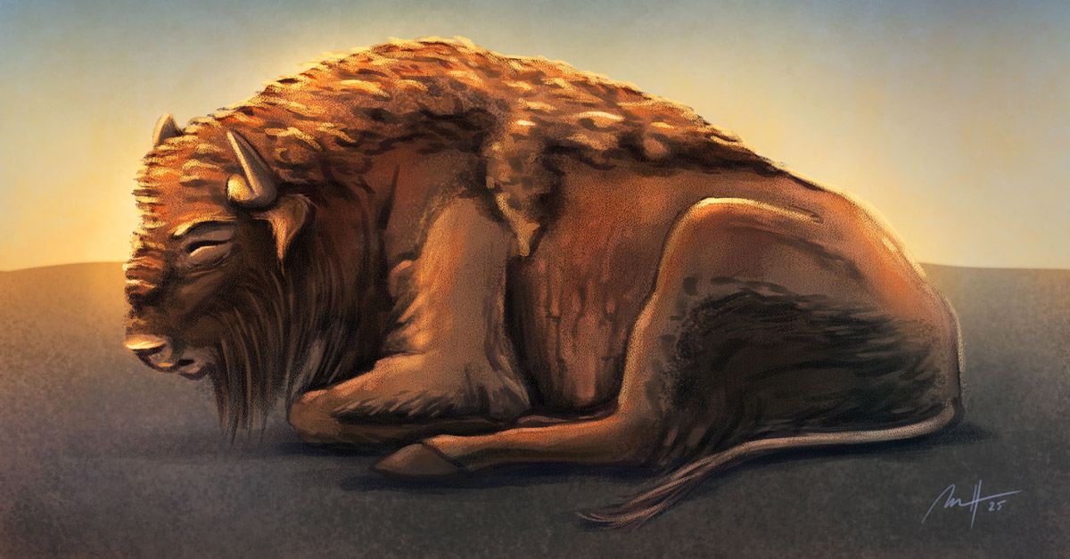 Bizon - digitální malba