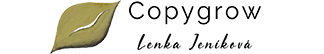 Logo či doplňková grafika