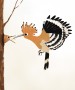 Dudek chocholatý,  ilustrace pro děti, knihy pro děti, knižní ilustrace, ilustrace ptáků