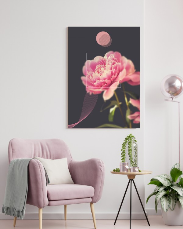 Pivoňka | obraz