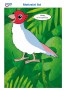 Ilustrace papouška pro motivační list