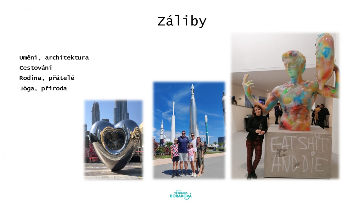 Moje záliby