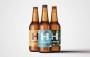Obalový design / etikety | Pivovar Holanďan