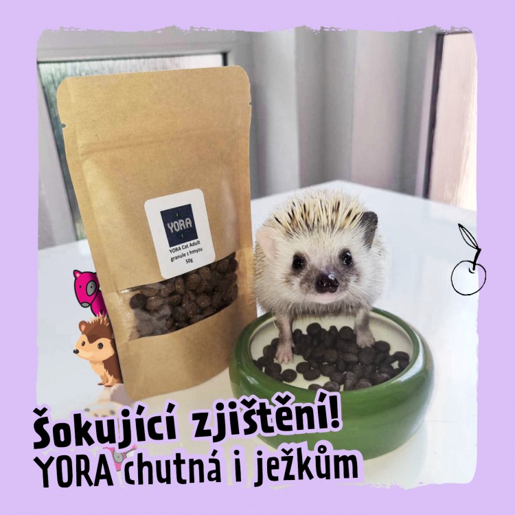 Yora | grafika pro sociální sítě