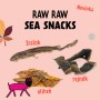 Raw Raw Sea Snackes | grafika pro sociální sítě