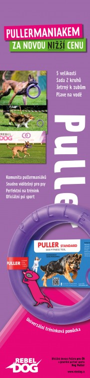 Pes pritel cloveka