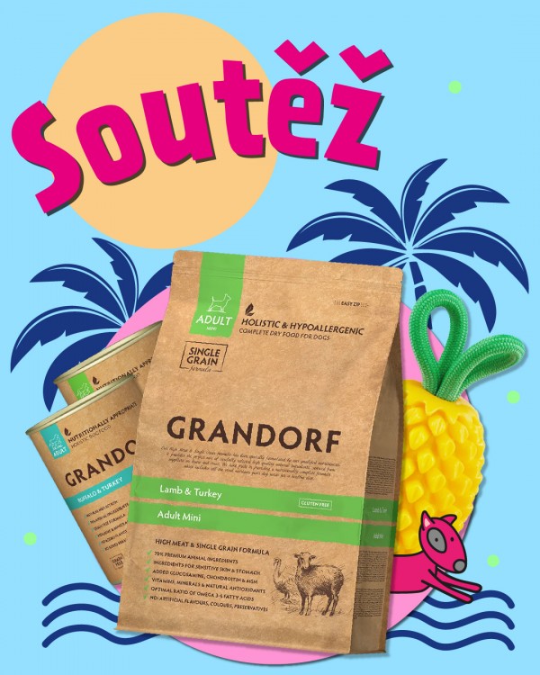 Soutez