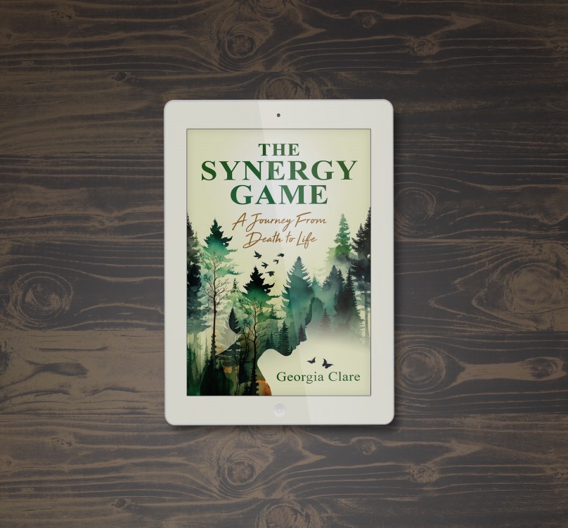 Grafický návrh obálky ebooku - The Synergy Game