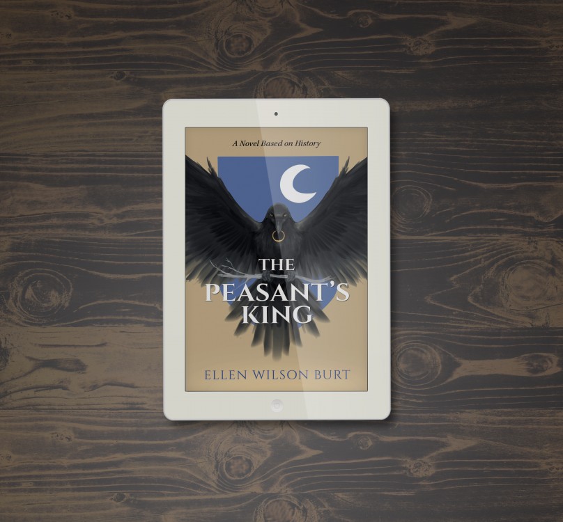 Grafický návrh obálky ebooku - The Peasants King