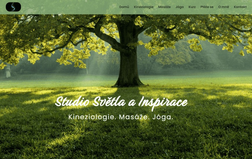 Web pro masérku se zaměřením na kineziologii