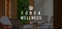 Copy pro Forea Wellness